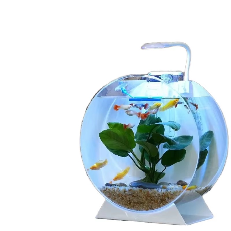 Aquarium Fish Sale - Vendita calda Acquari da tavolo moderni