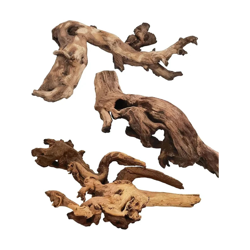 Legno Naturale per Decorazione - Aquarium Fish For Sale Online recensione e prezzo