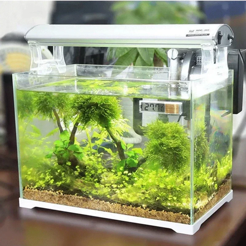 Termometro per acquario Misura - Aquarium Fish Uk recensione e prezzo