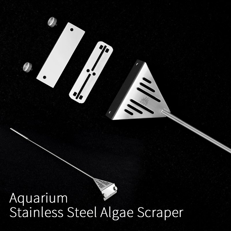 Week Aqua Acciaio inossidabile - Algae Scraper Blade recensione e prezzo