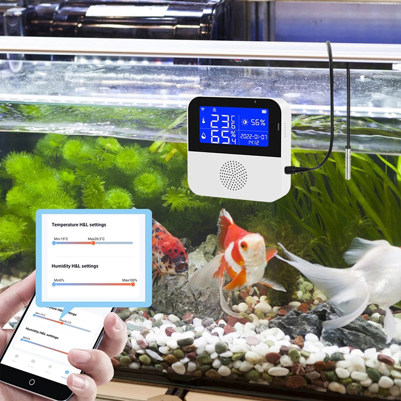 WiFi Tuya Smart Life Display a - Aquarium Fish Uk recensione e prezzo