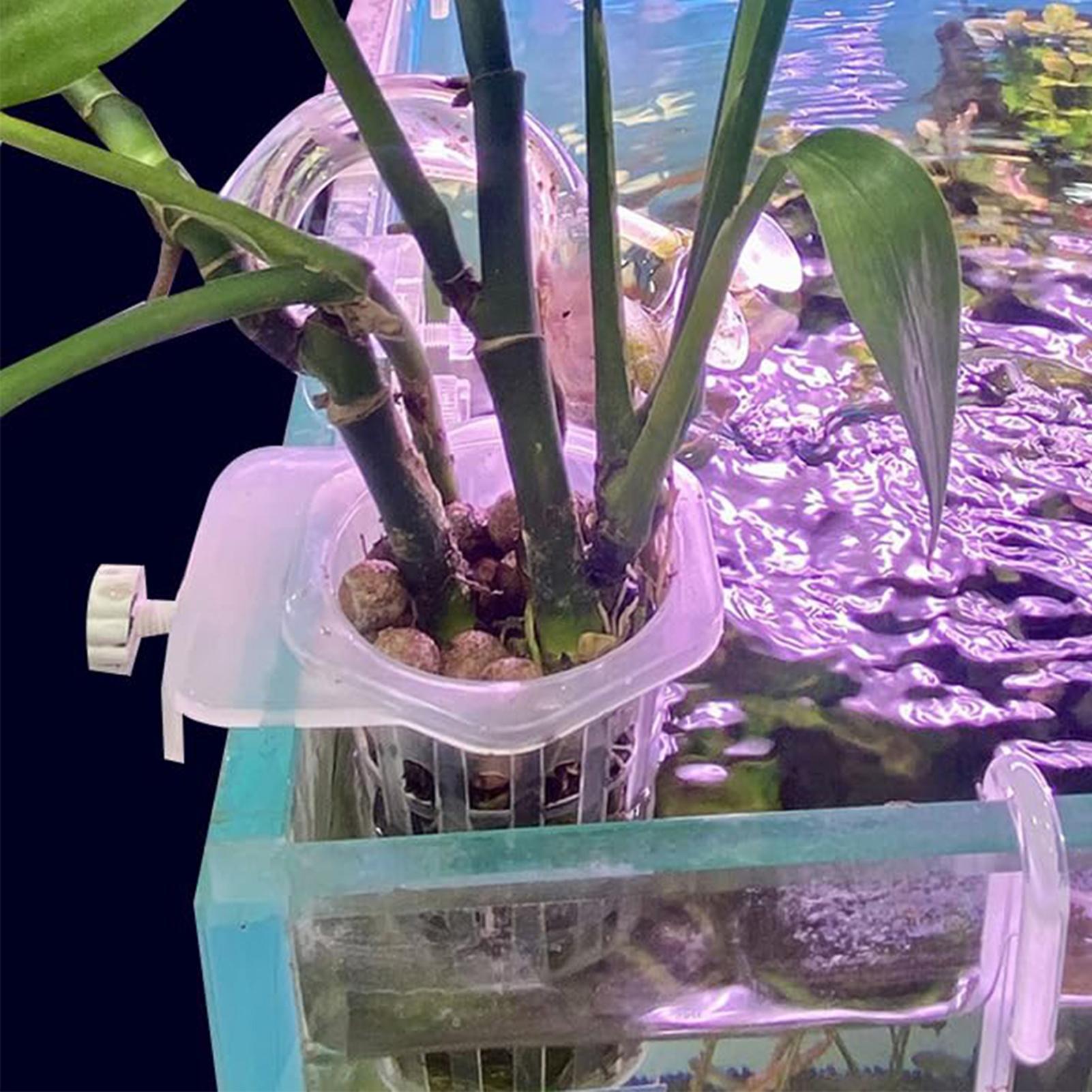 Supporto per piante idroponich - Aquarium Fish Elevator recensione e prezzo