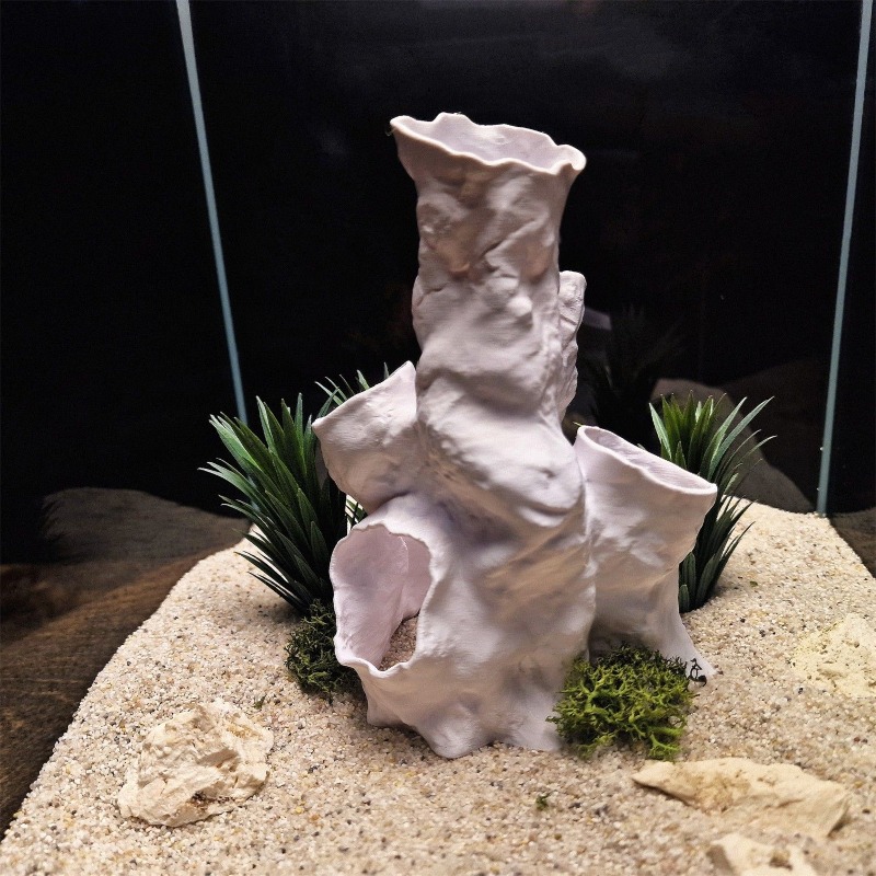 Offerta Speciale: Tunnel Coral - Aquarium Fish Sale recensione e prezzo