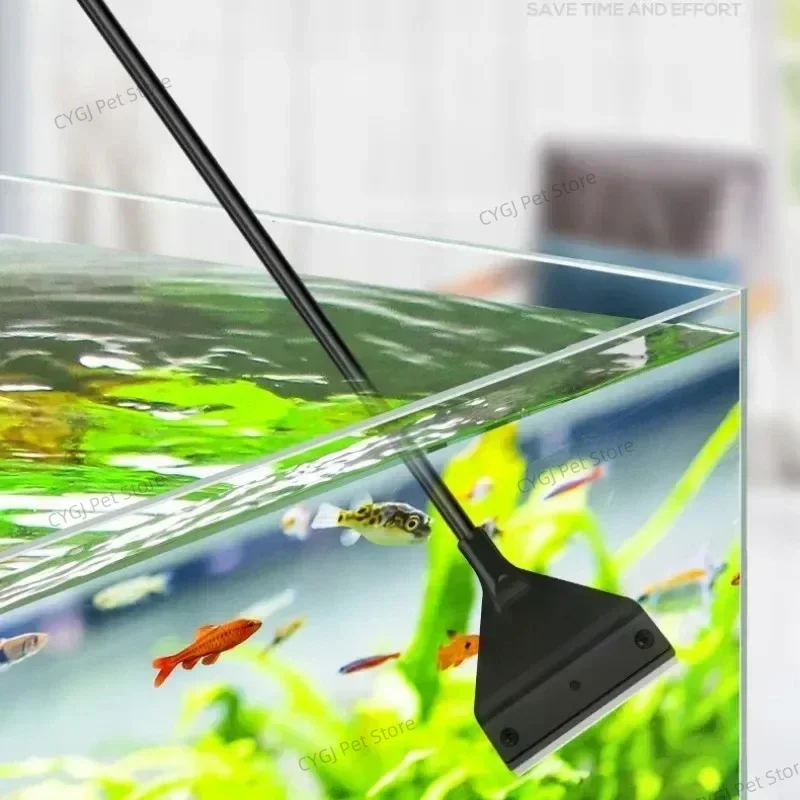 Strumento per la pulizia dell' - Algae Scraper Blade recensione e prezzo