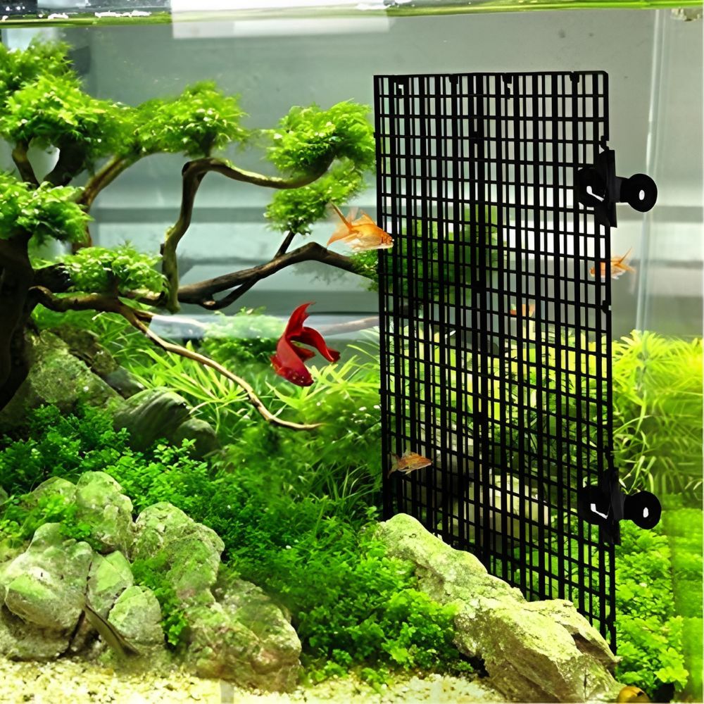 Set di 14 Griglie in Plastica  - Aquarium Fish Elevator recensione e prezzo