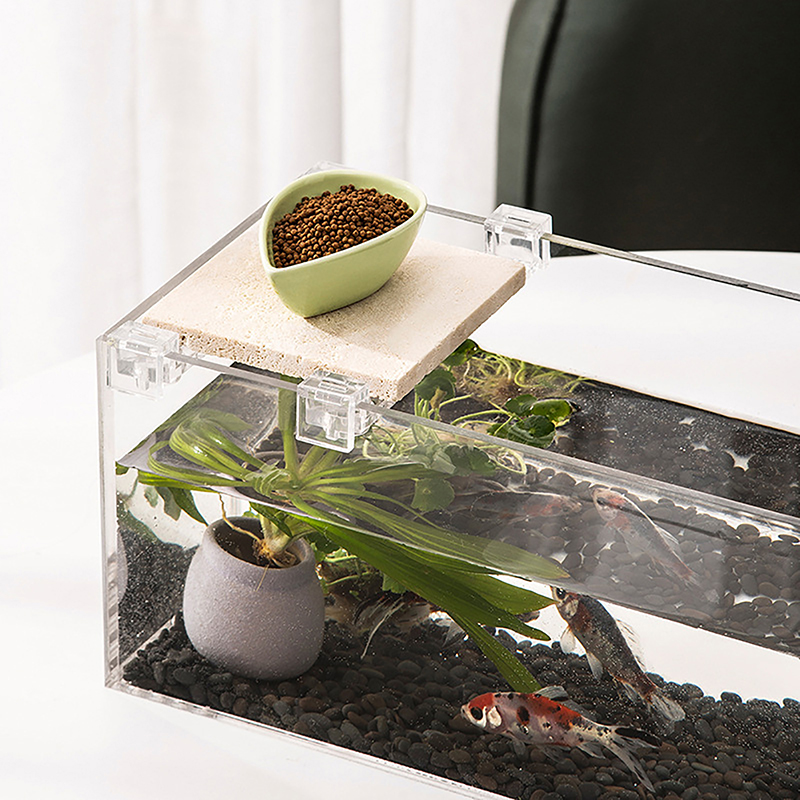 4 pz 6mm/8mm/10mm/12mm/15mm Se - Aquarium Fish Elevator recensione e prezzo