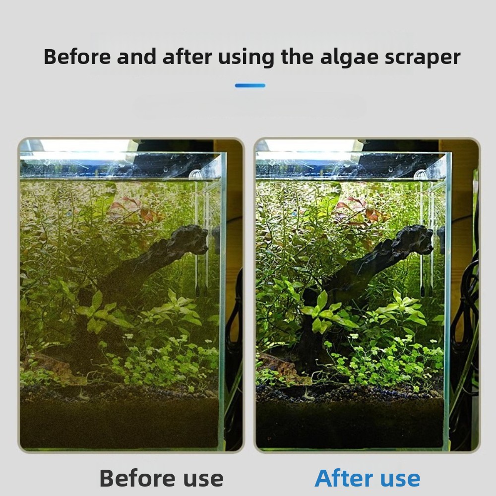 Raschietto per Alghe da Acquar - Algae Scraper Blade recensione e prezzo