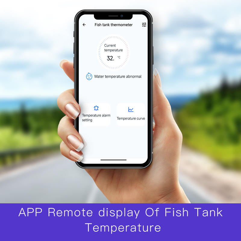 Misuratore di temperatura dell - Aquarium Fish Uk recensione e prezzo