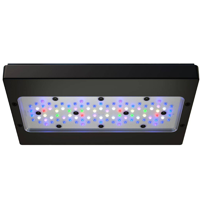 A8 PRO III Max e Blue 245W Luc - Aquarium Fish Electric recensione e prezzo