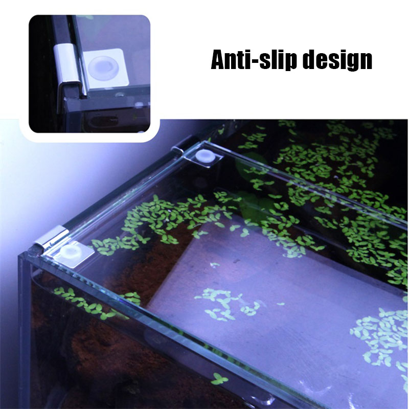 4 pezzi in acciaio inossidabil - Aquarium Fish Elevator recensione e prezzo