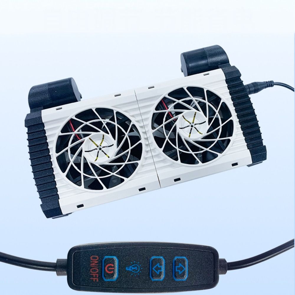 1/2/3/4/5 Teste Ventola di Raf - Aquarium Fish Uk recensione e prezzo